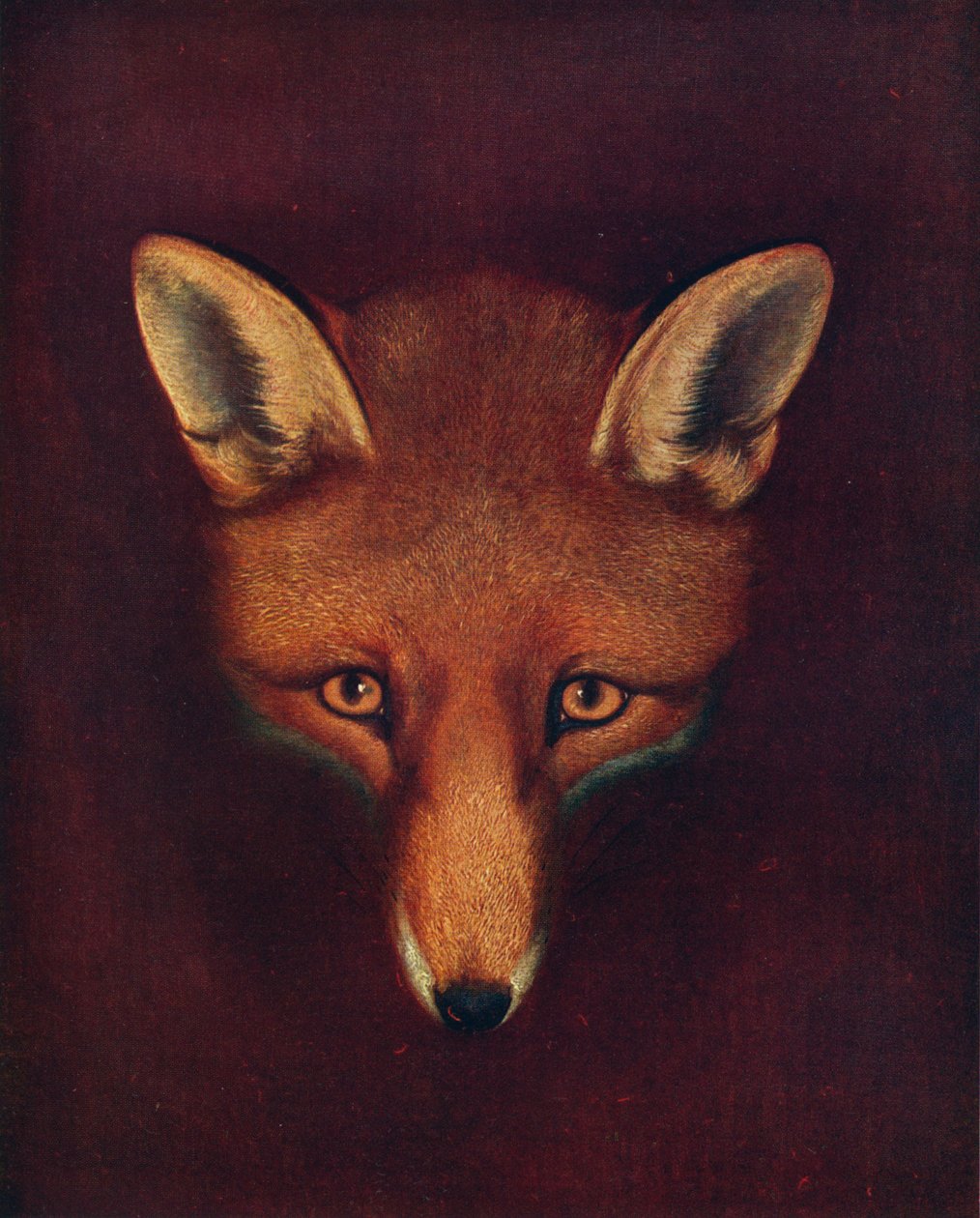 Renard the Fox, c1800, 1922 av Philip Reinagle