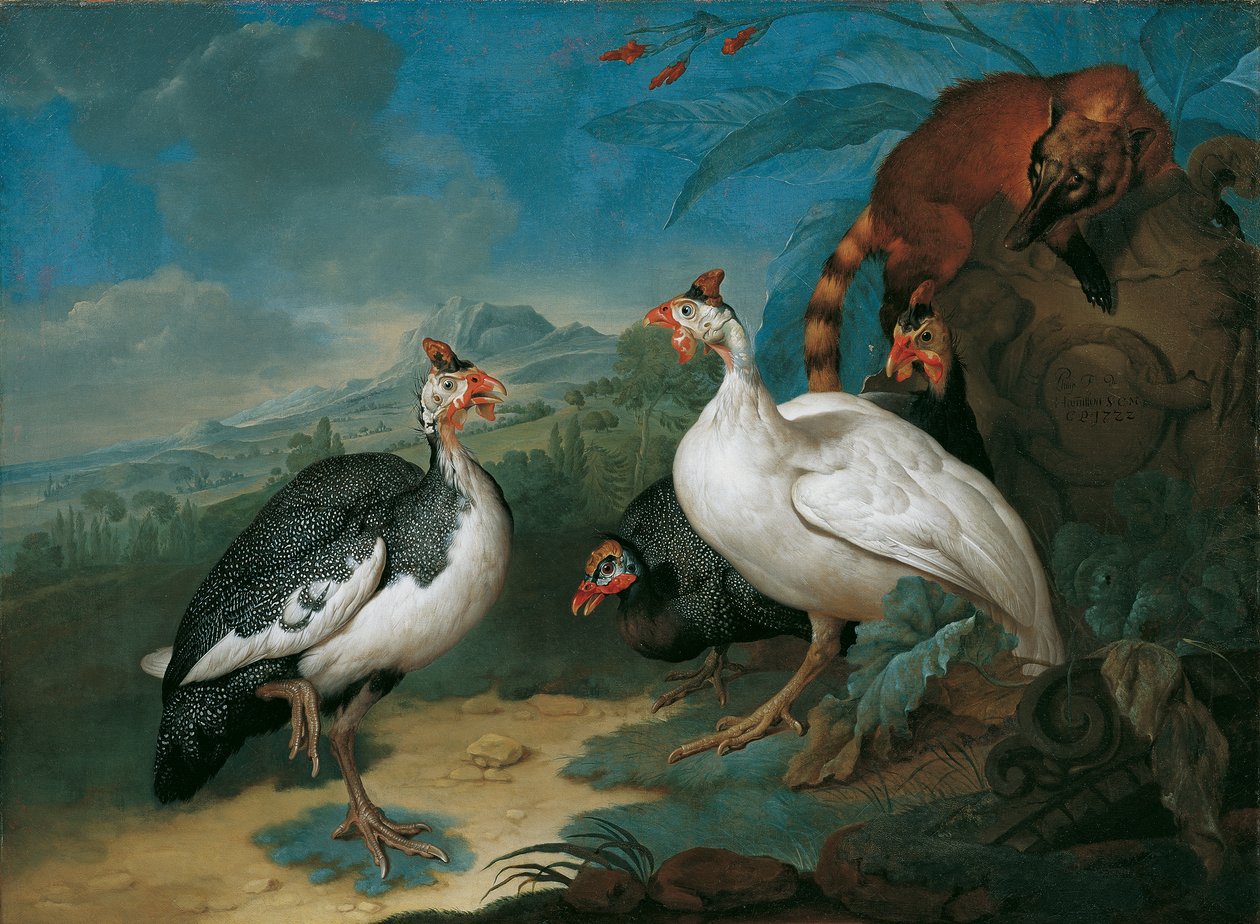 Perlehøne og coati av Philipp Ferdinand de Hamilton