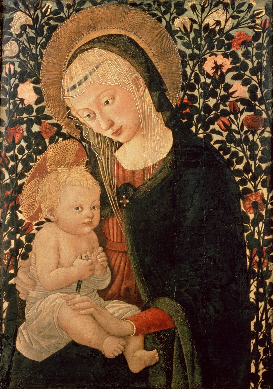 Ukjent bilde av Pier Francesco Fiorentino