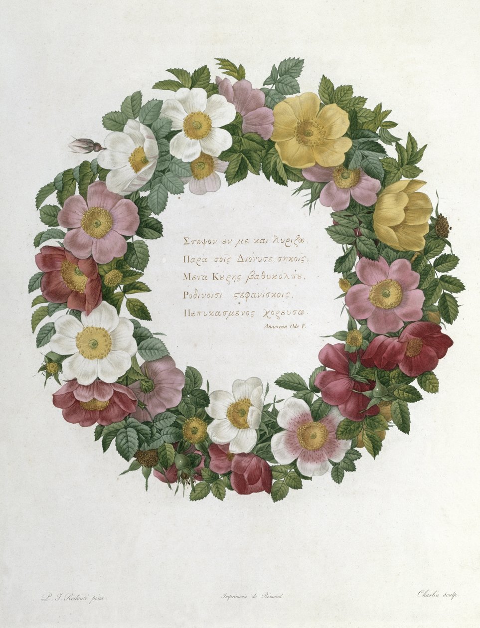 Juleroser av Pierre Joseph Redouté