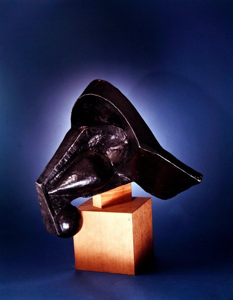 Hodet på en hest av Pierre Maurice Raymond Duchamp Villon