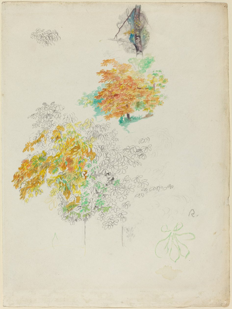 Studier av trær, 1886. av Pierre Auguste Renoir