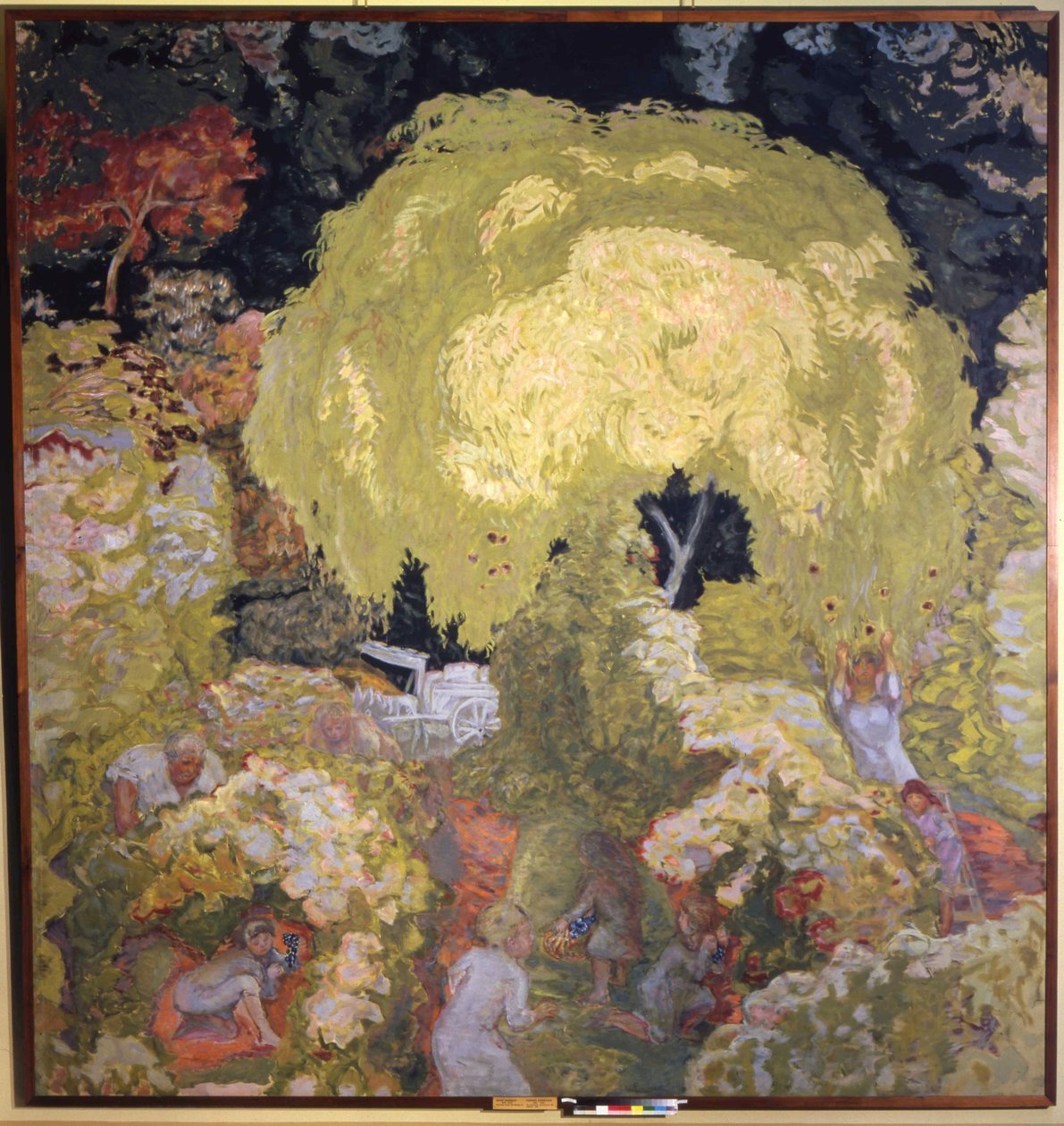 Høst, fruktplukking av Pierre Bonnard