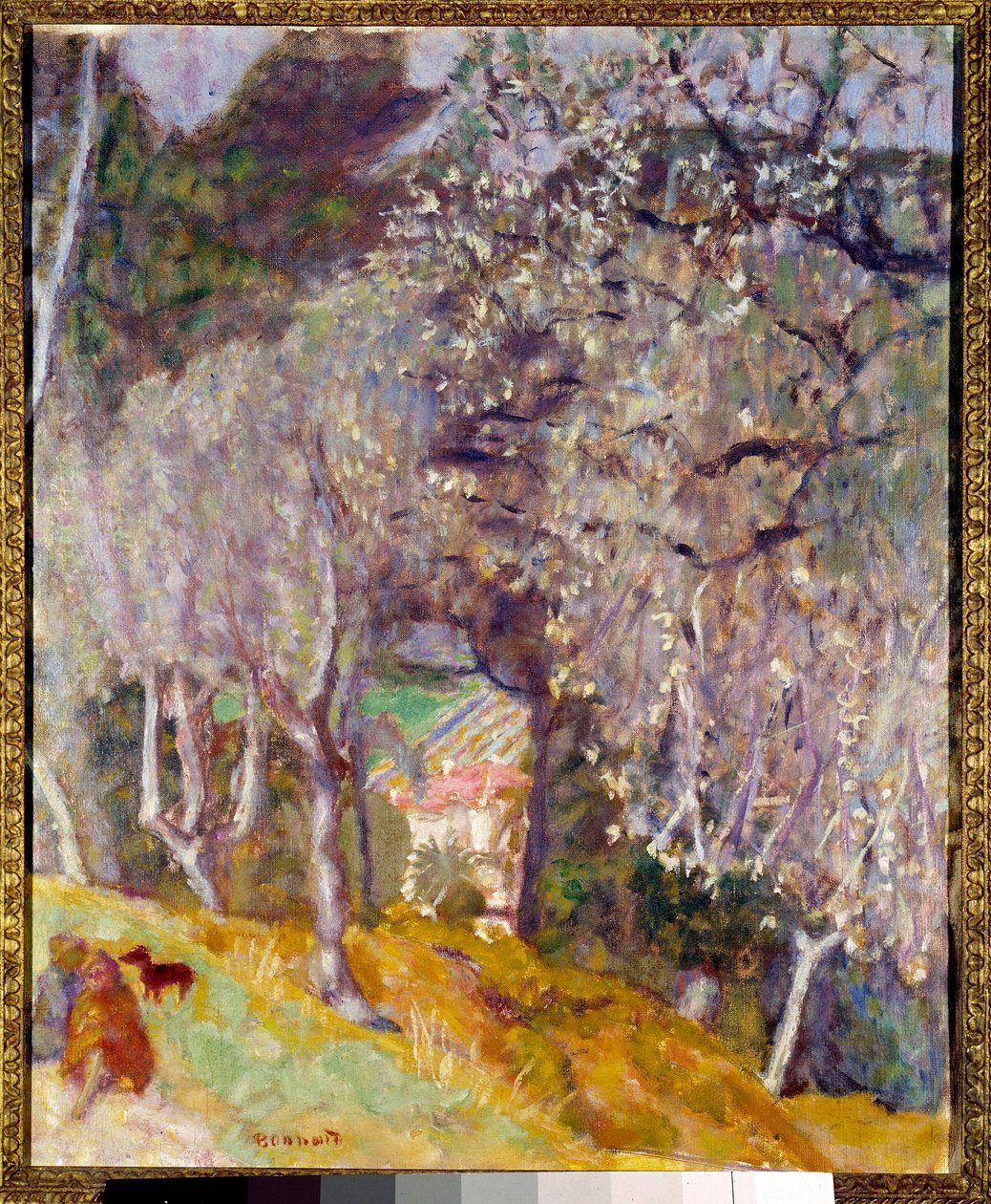 House in the Olives av Pierre Bonnard