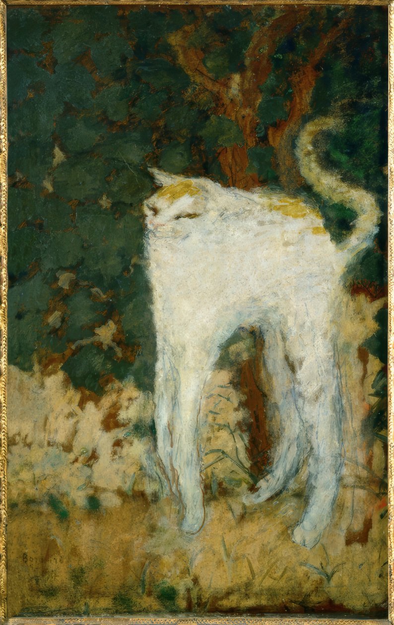 Den hvite katten av Pierre Bonnard