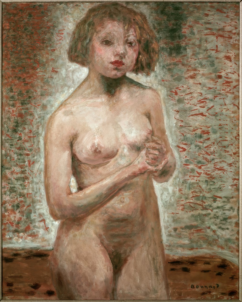 Ikke av Pierre Bonnard