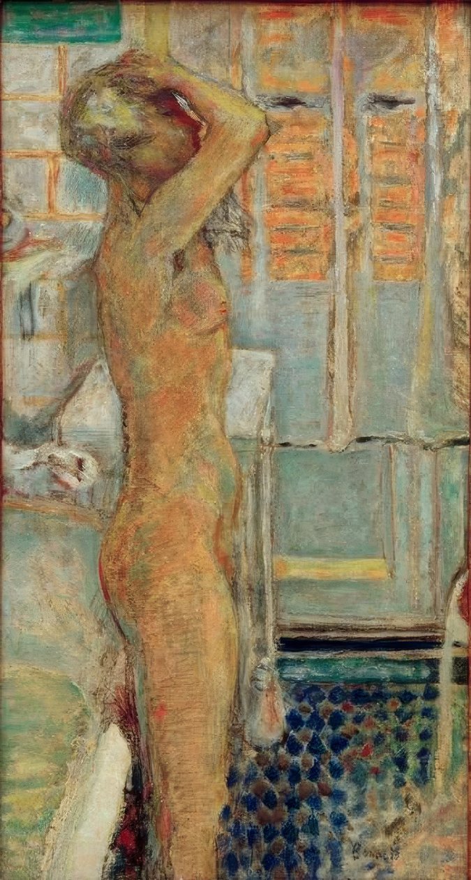 Ingen profil grå av Pierre Bonnard