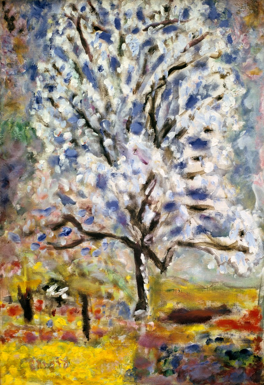 The Almond Tree in Blossom, 1947 av Pierre Bonnard