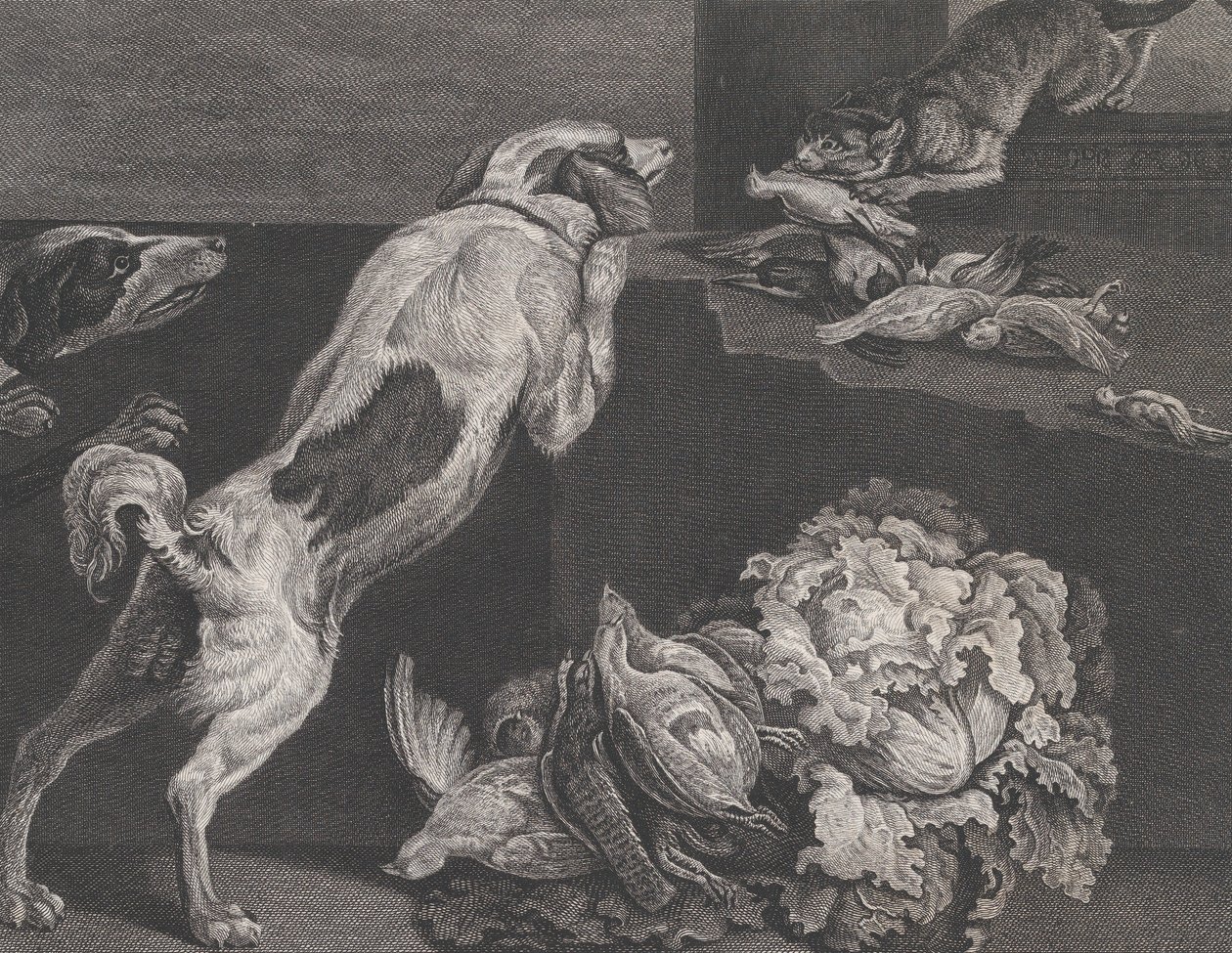 Hunder og stilleben, 1778 av Pierre Charles Canot