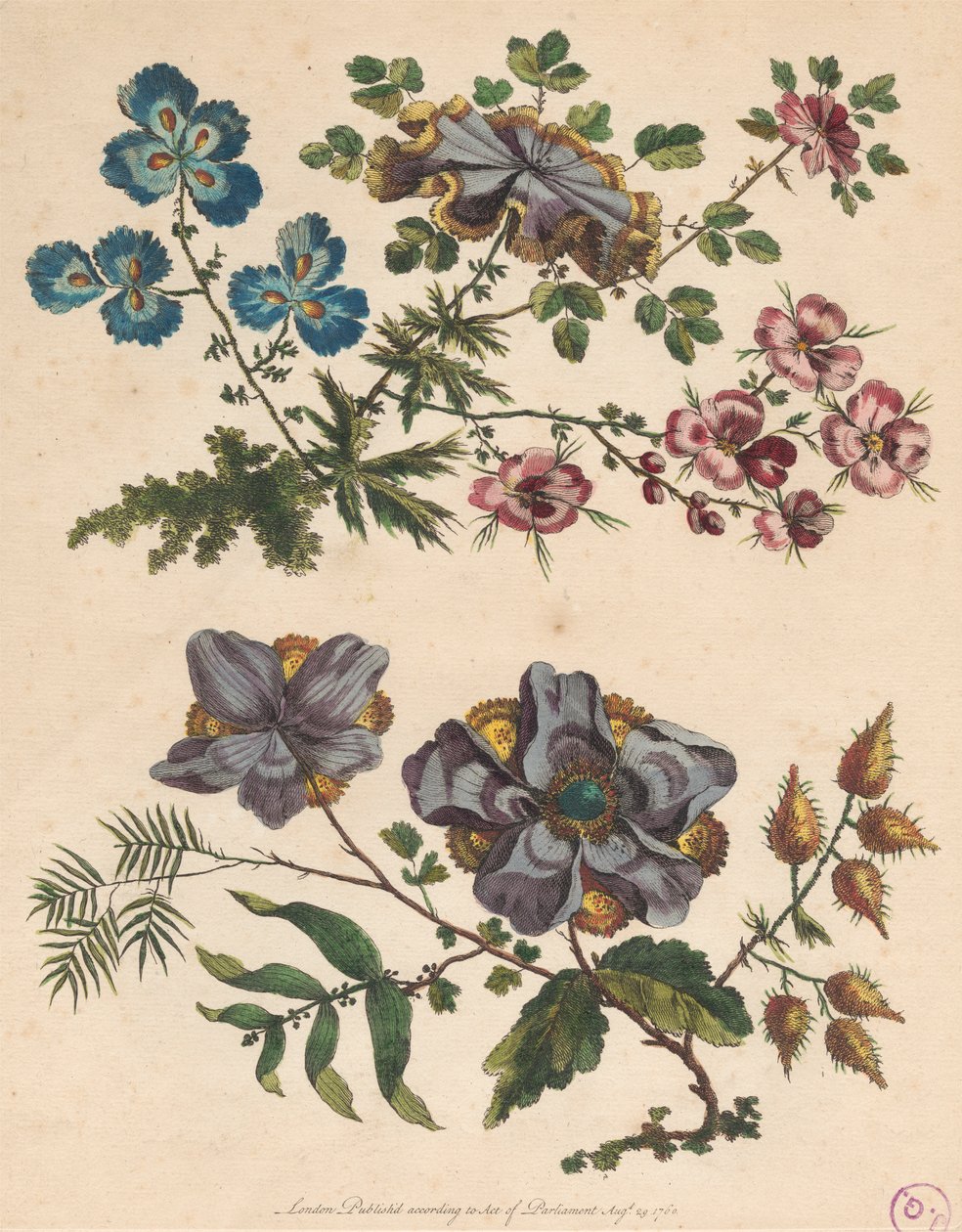 To sprøyter med imaginære blomster av Pierre Charles Canot