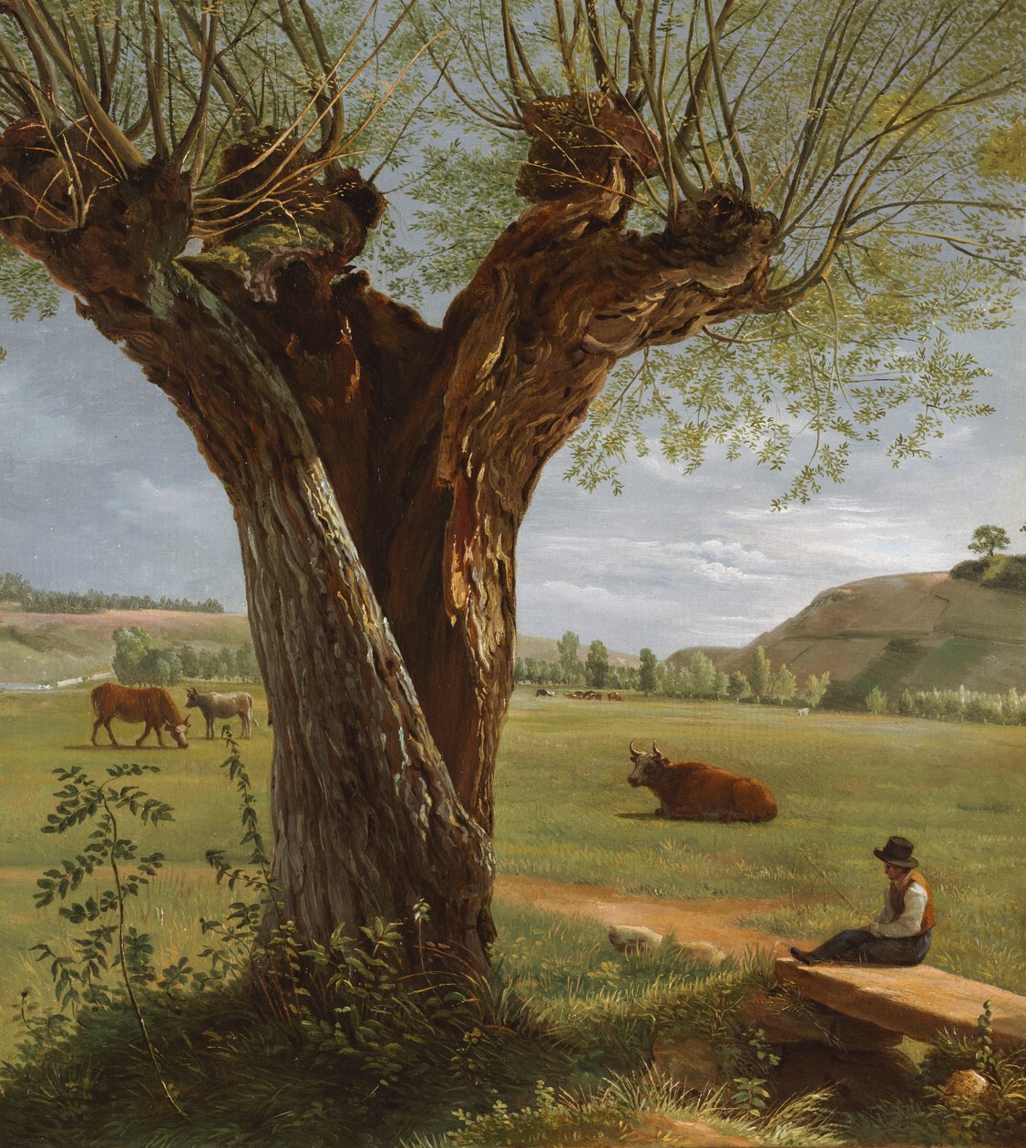 Pollard Willow, etter 1804. av Pierre Jean Boquet