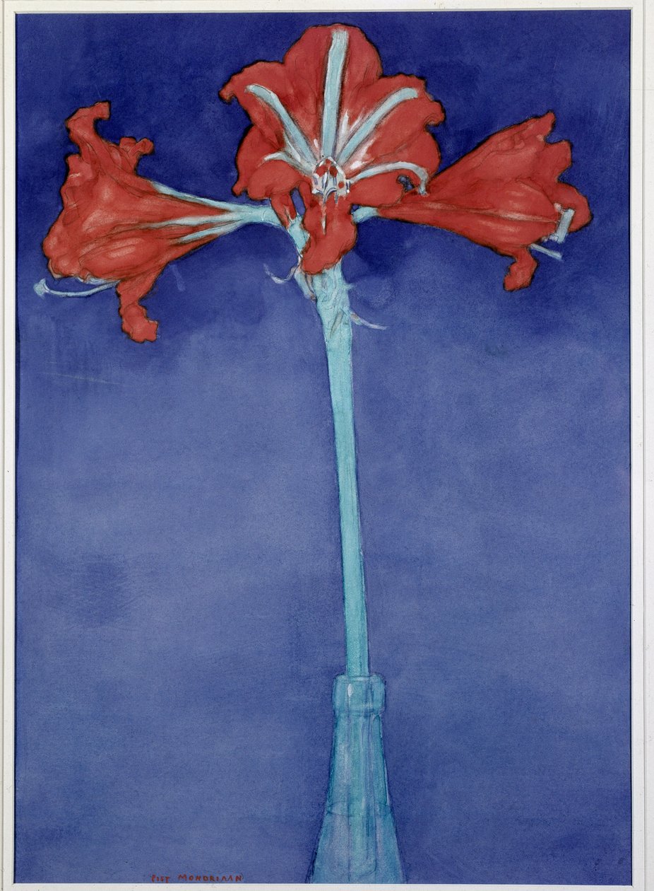 Amaryllis av Piet Mondrian