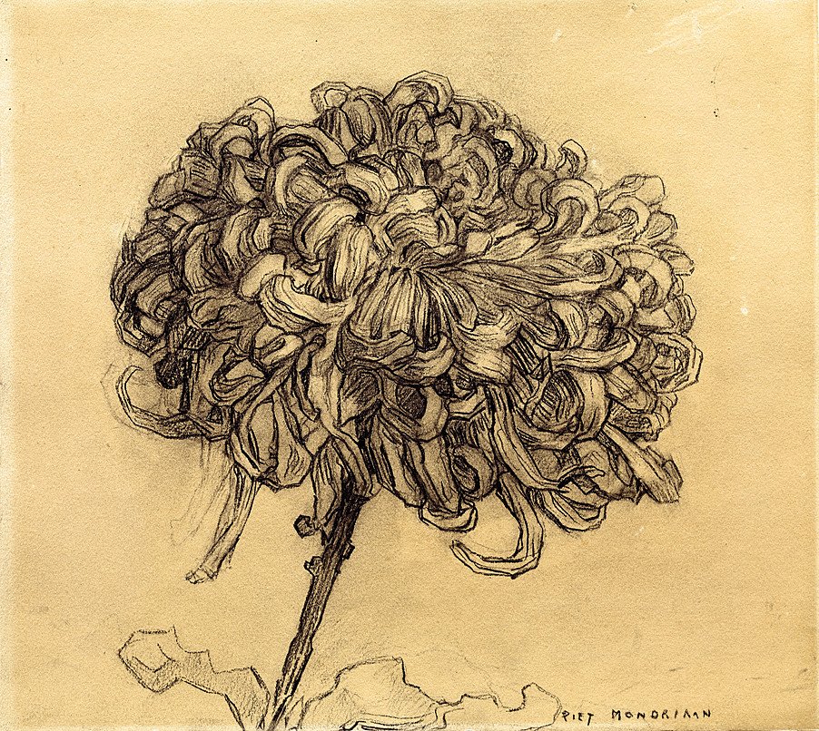 Krysantemum av Piet Mondrian