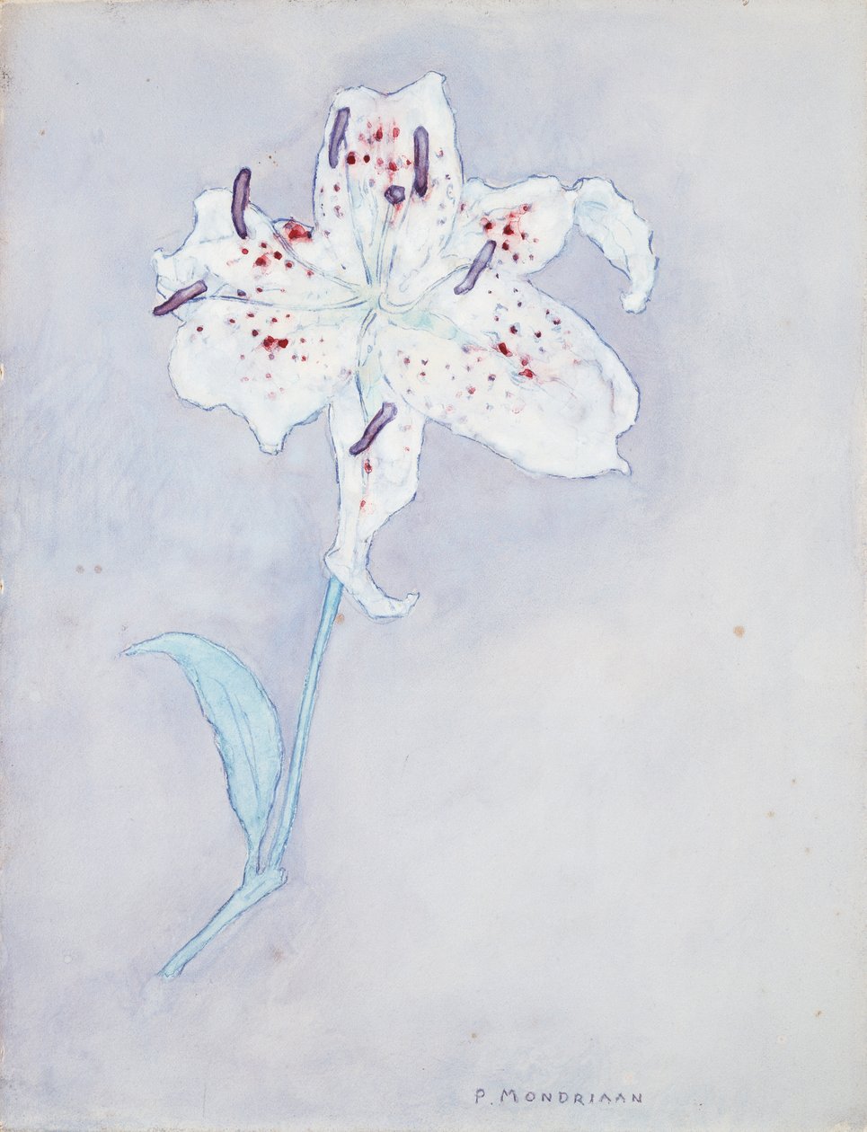 Lily, ca. 1920-25 (akvarell på papir) av Piet Mondrian