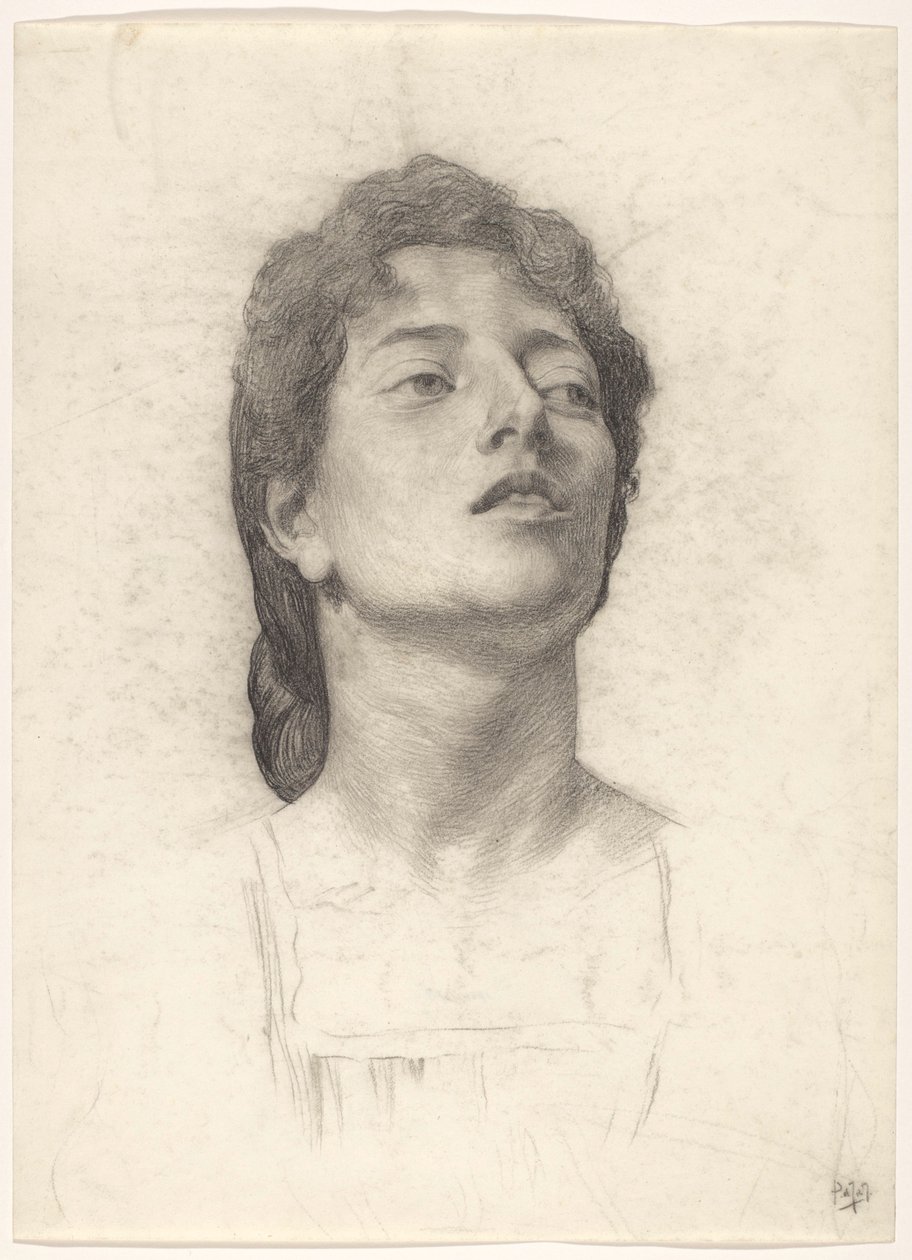 Portrett av en kvinne av Pieter de Josselin