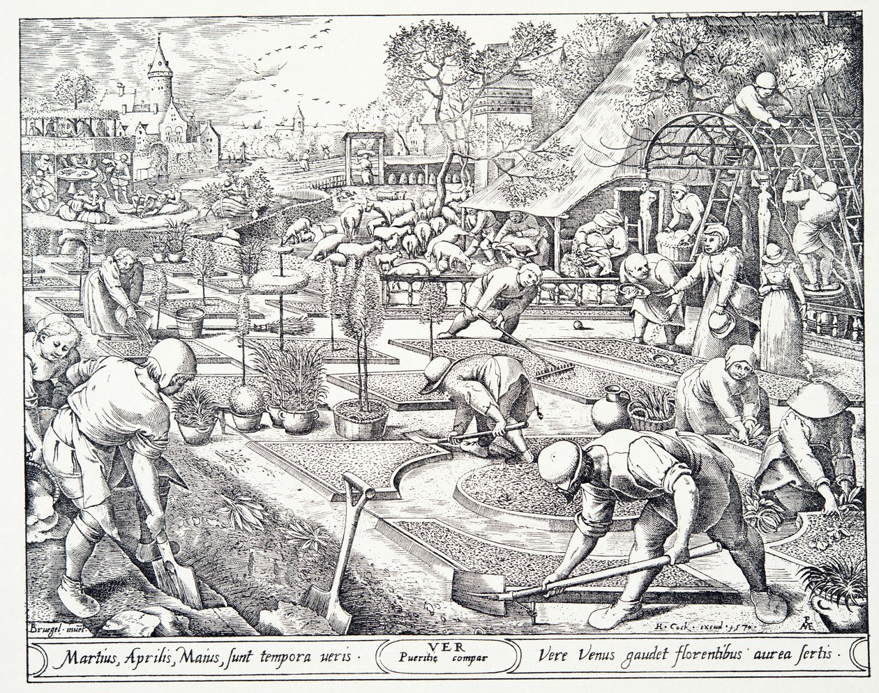 Fjær, gravert av Visscher, 1570 av Pieter Bruegel the Elder