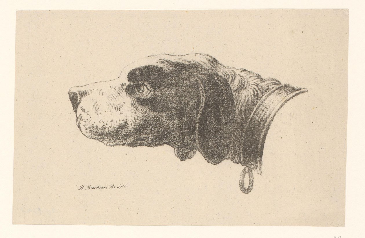 Hundehode med halsbånd av Pieter Bartholomeusz. Barbiers