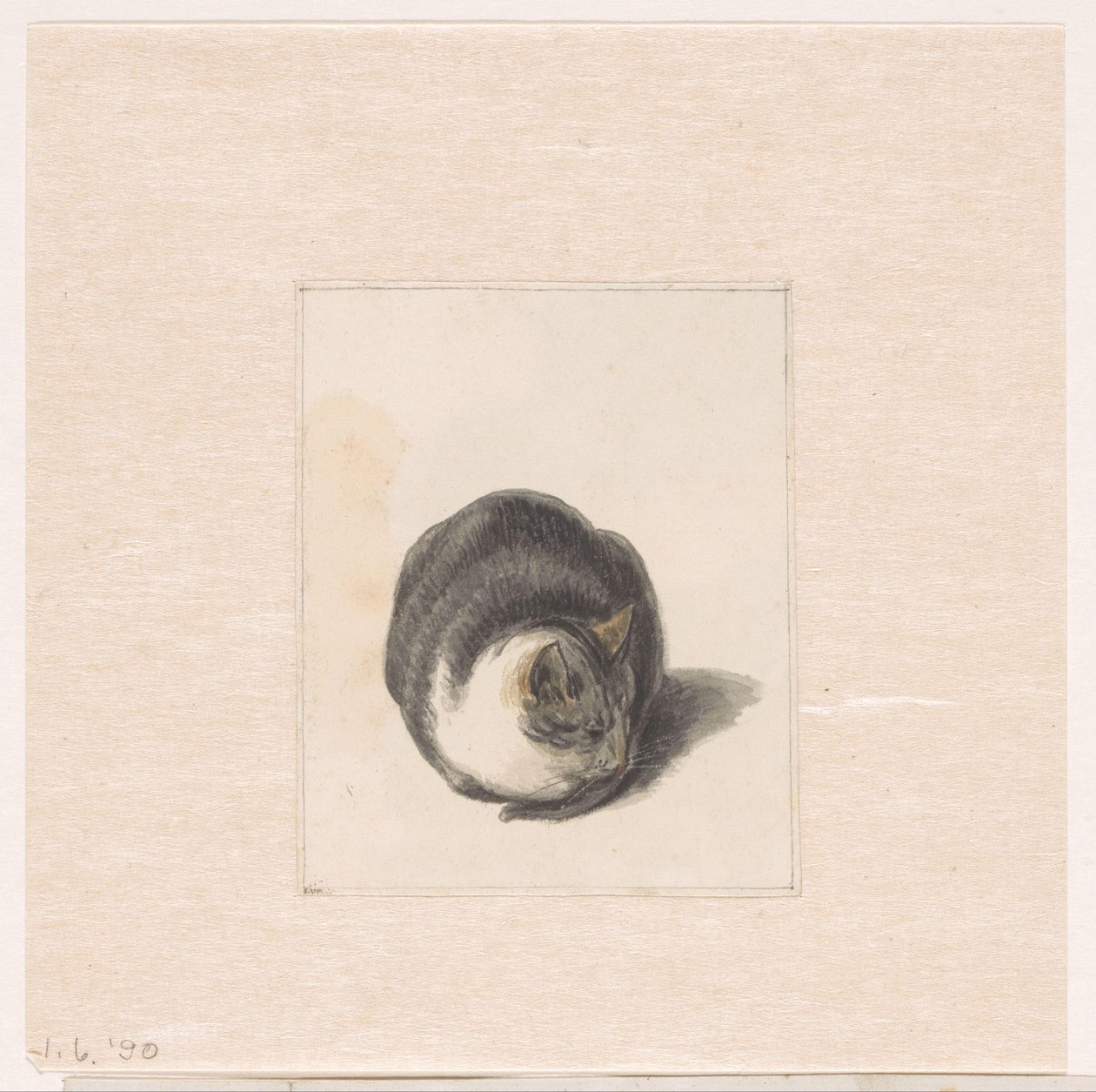 Sittende katt, sett forfra av Pieter Bartholomeusz. Barbiers