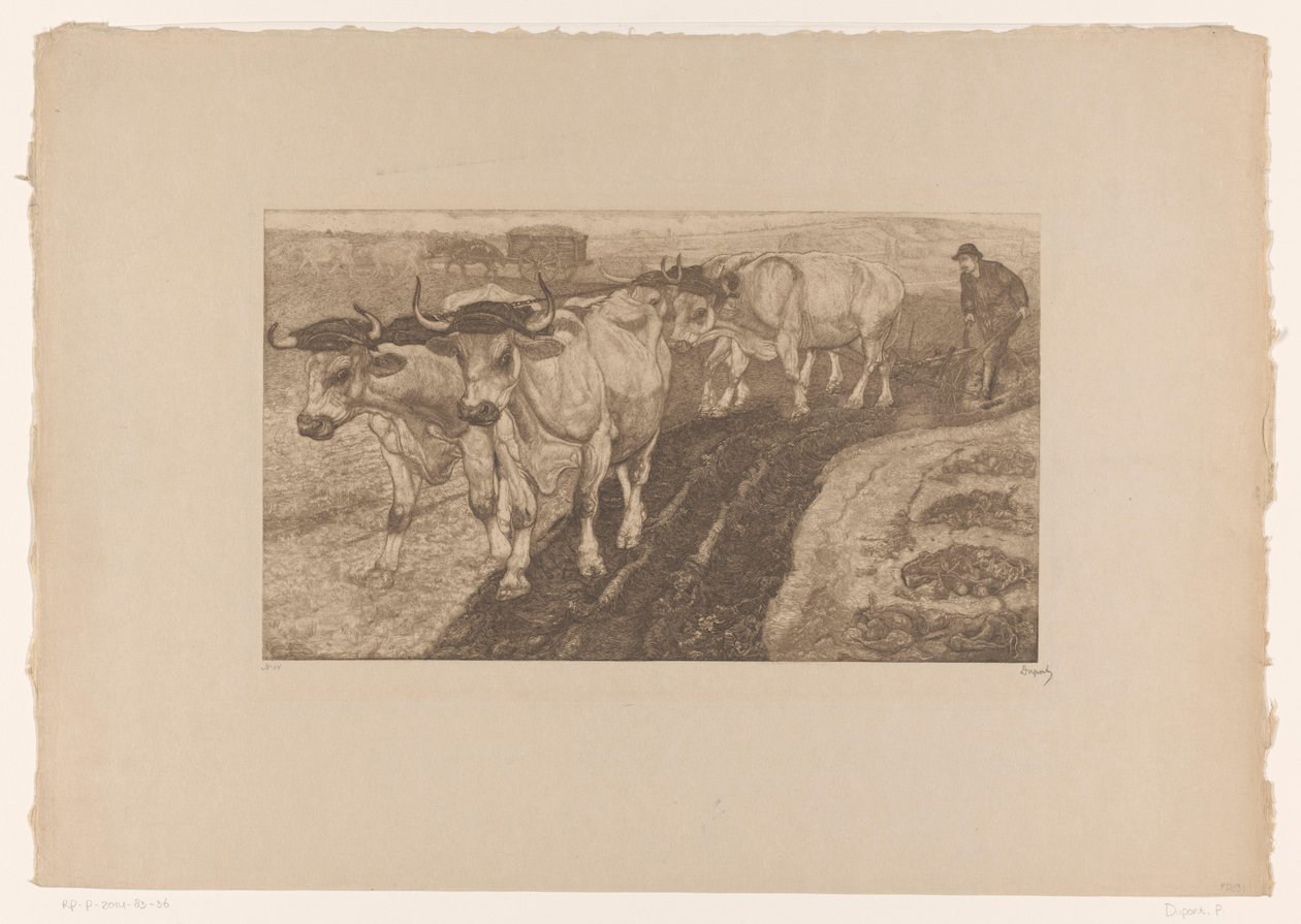 Pløye okser av Pieter Dupont (signed by artist)