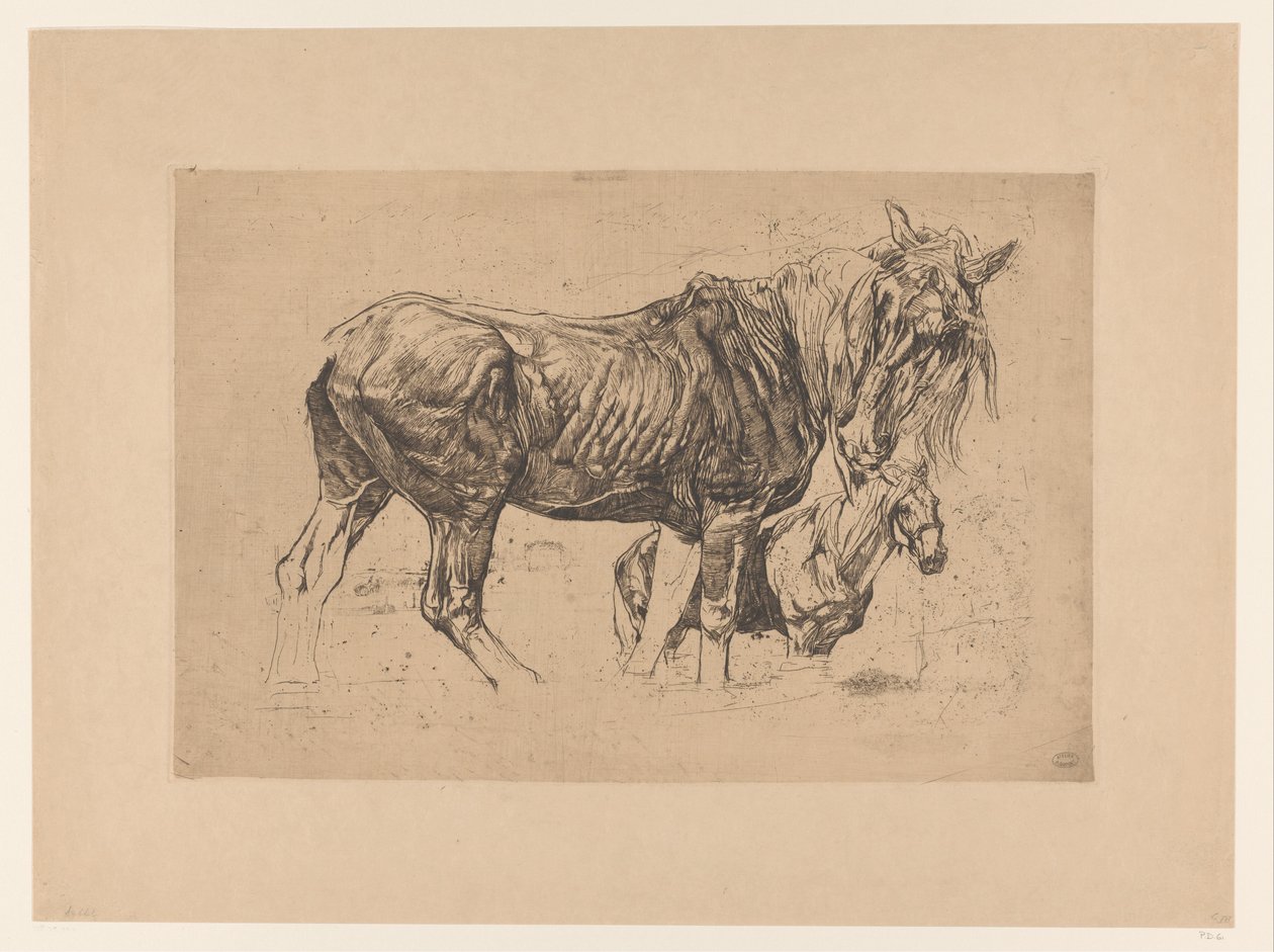 Studieark med to hester av Pieter Dupont