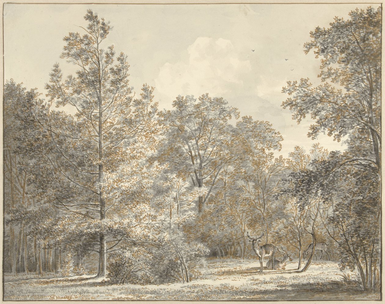 Hjort i en skog av Pieter Gerardus van Os