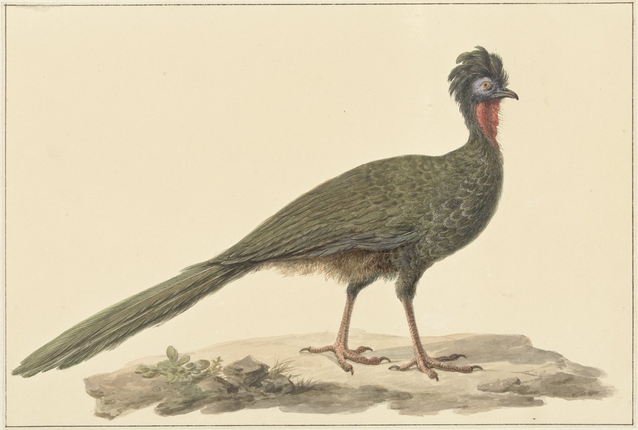Penelope, på gulvet av Pieter Pietersz. Barbiers