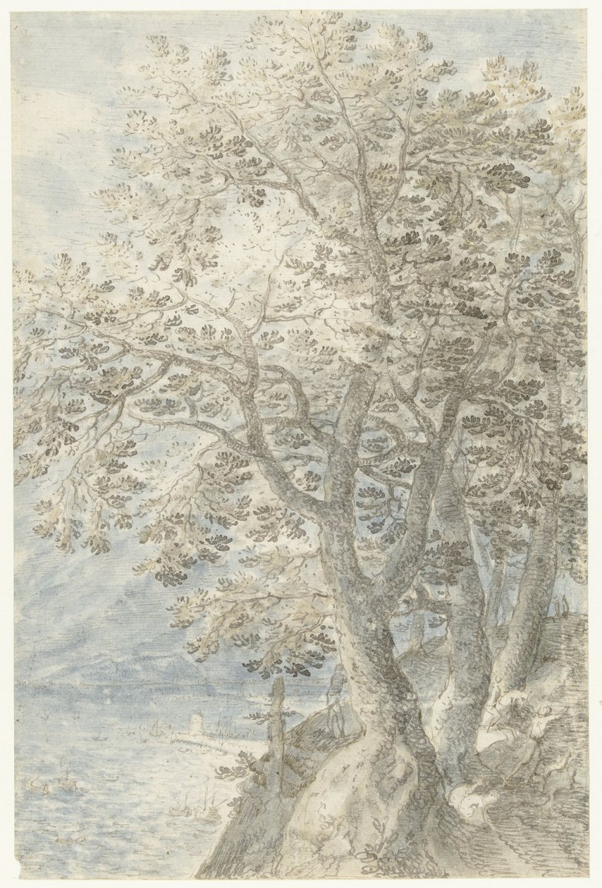 Trær ved en bratt fjellvegg av Pieter Stevens (I)