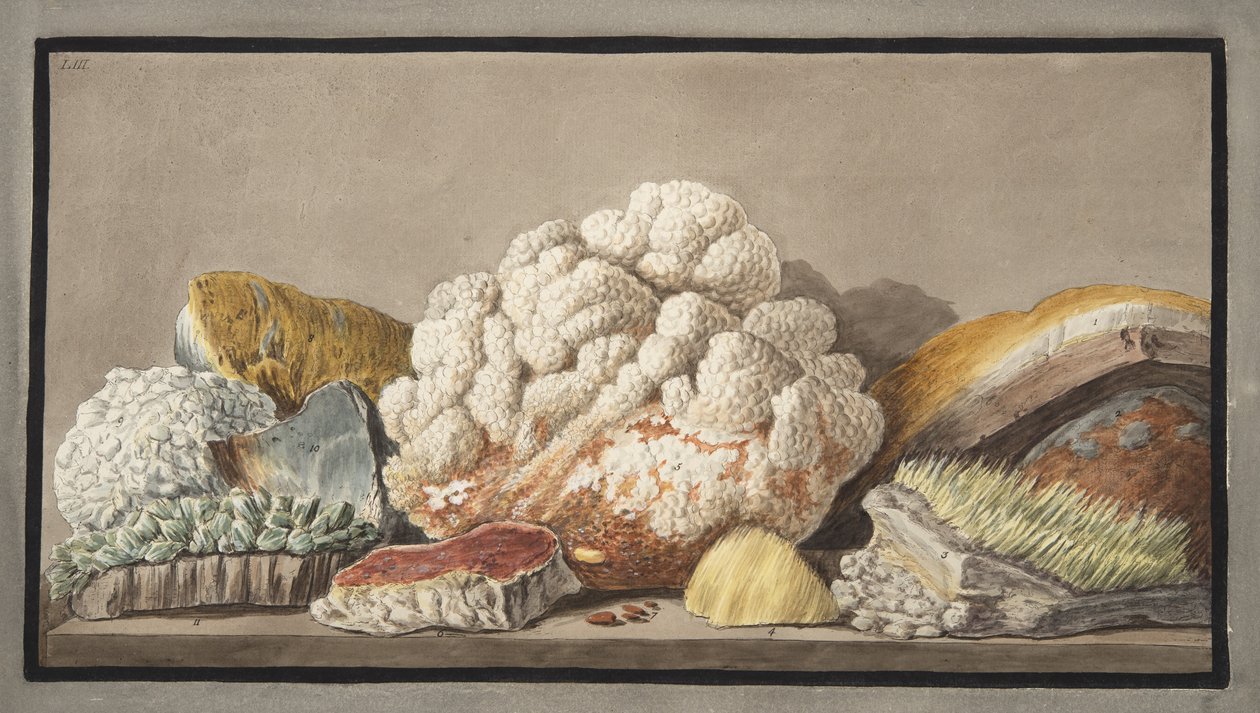 Produksjoner av Solfaterra, plate 9 fra 