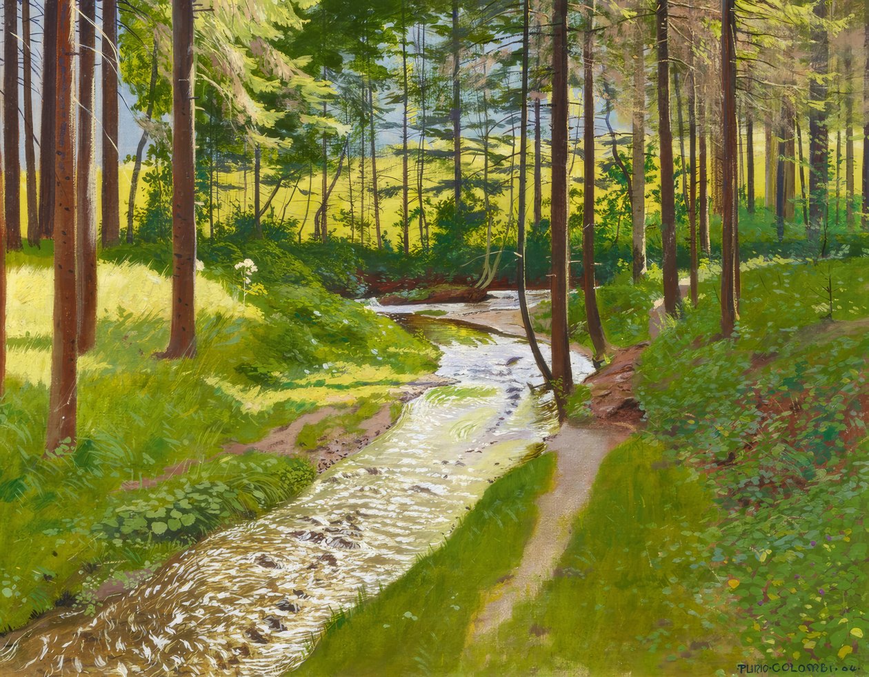 Sommerskog med bekk av Plinio Colombi