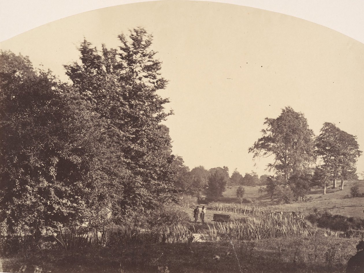 The Woodland Stream, 1856. av Plunket