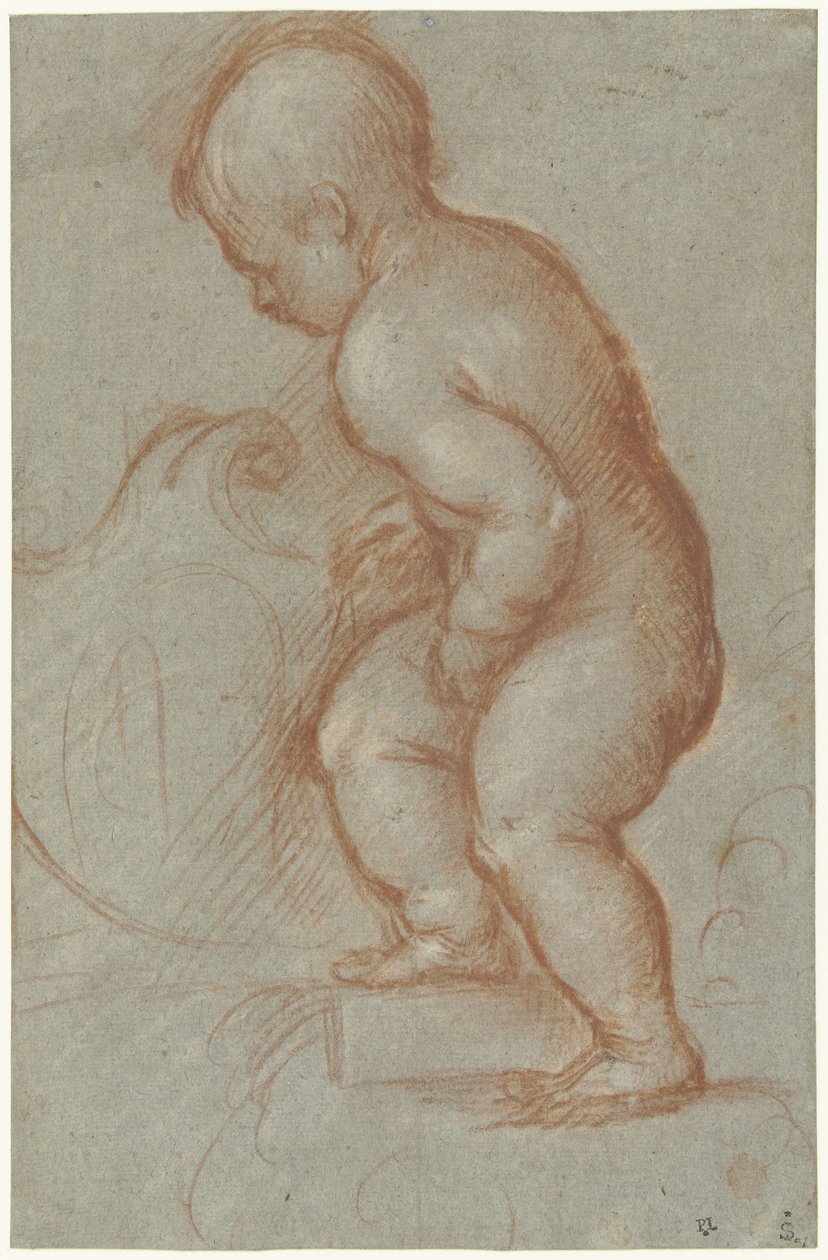 Putto med et våpenskjold av Pordenone (attributed to)