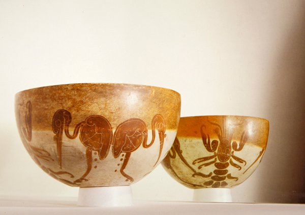 Skål med akvatiske motiver, Vera Cruz (keramikk) av Pre Columbian Pre Columbian