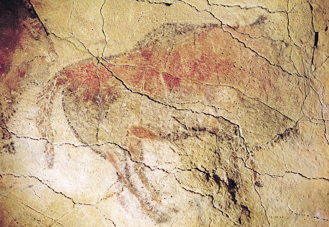 Bison fra hulene i Altamira, ca. 15000 f.Kr. (hulemaleri) av Prehistoric