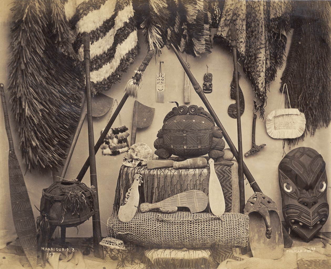 Maori Curios, 1870-tallet (albumtrykk) av Pulman Studio