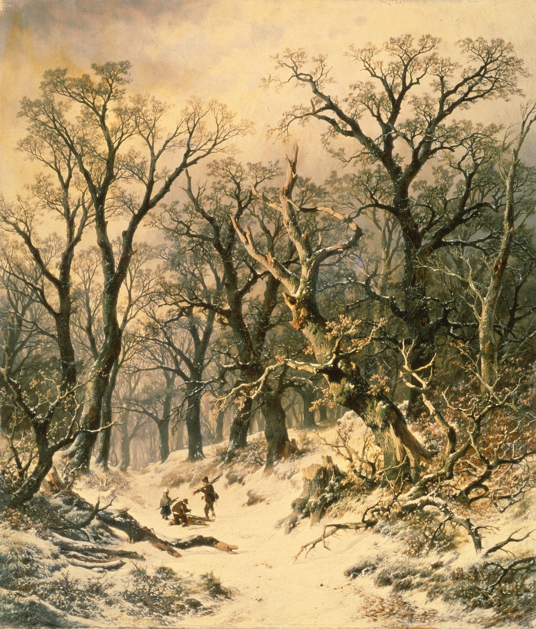 Skogen av R. Van Hannen