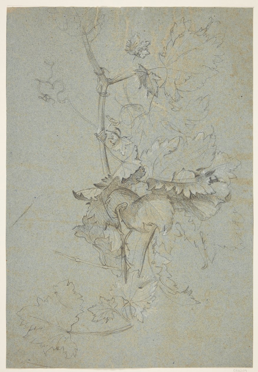 Plantestudie av Rachel Ruysch