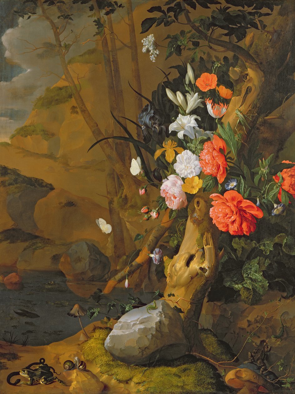 Ukjent bilde av Rachel Ruysch