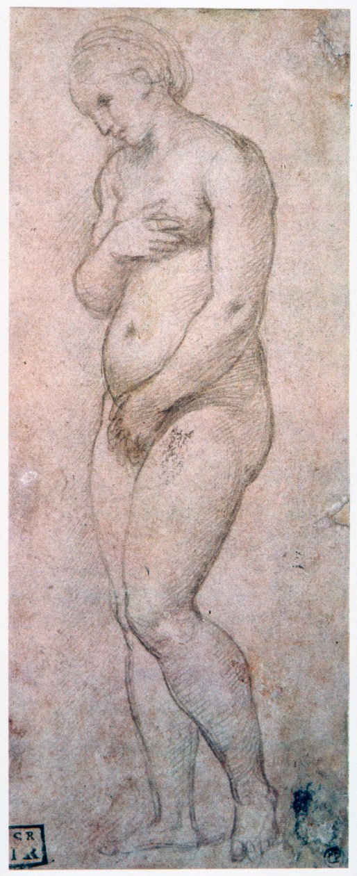 Studie av Venus, c1500-1520 av Raffaello Sanzio Raphael