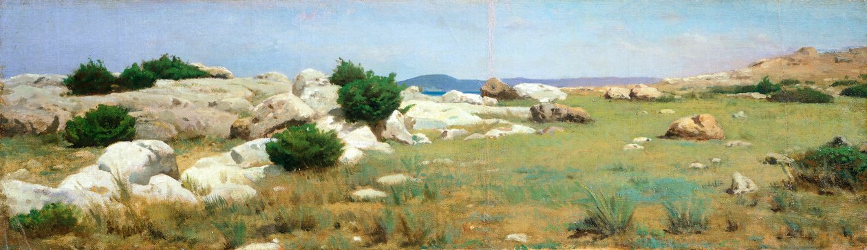 Cliff at Castiglioncello (olje på lerret) av Raffaello Sernesi
