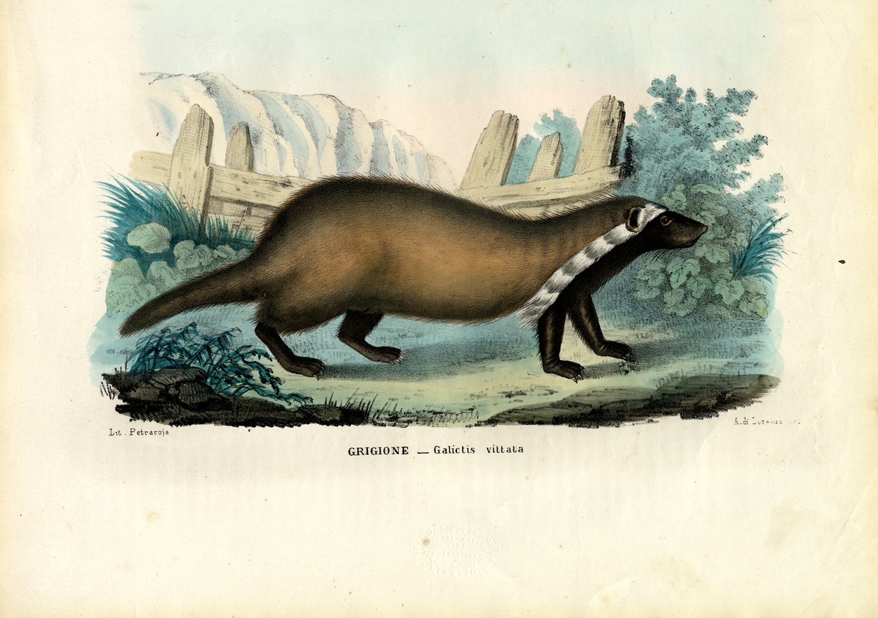 Greater Grison, 1863-79 av Raimundo Petraroja