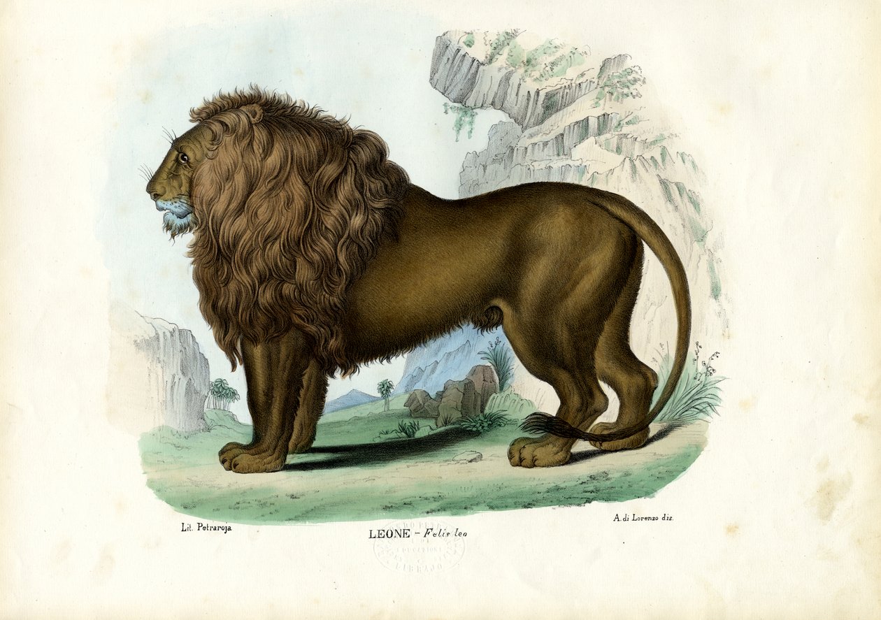 Løve, 1863-79 av Raimundo Petraroja