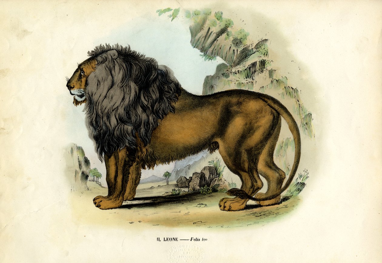 Løve, 1863-79 av Raimundo Petraroja