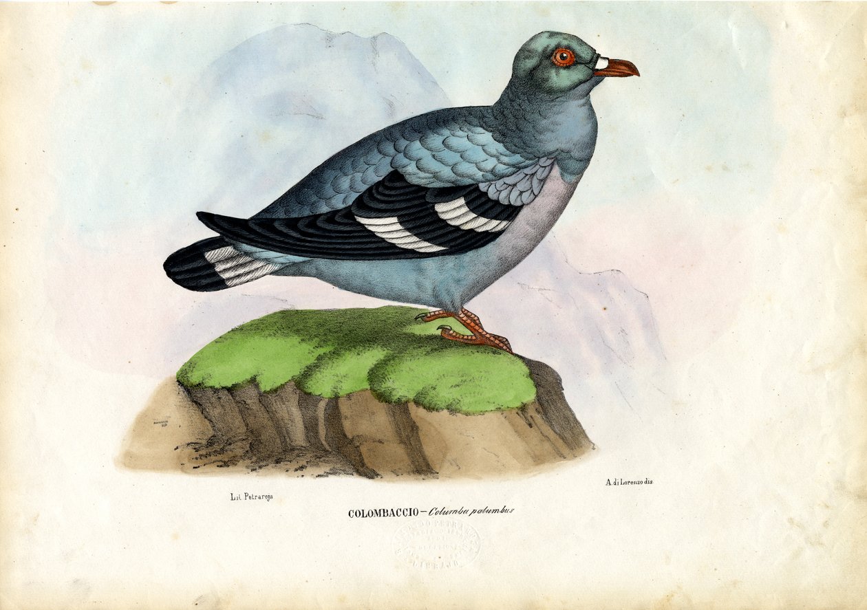 Skogdue, 1863-79 av Raimundo Petraroja