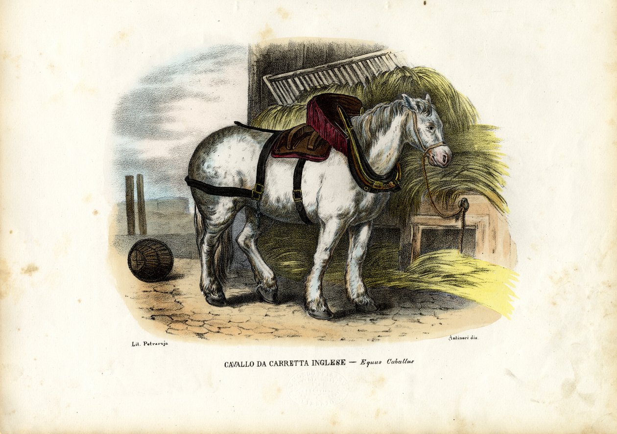 Engelsk gårdshest, 1863-79 av Raimundo Petraroja