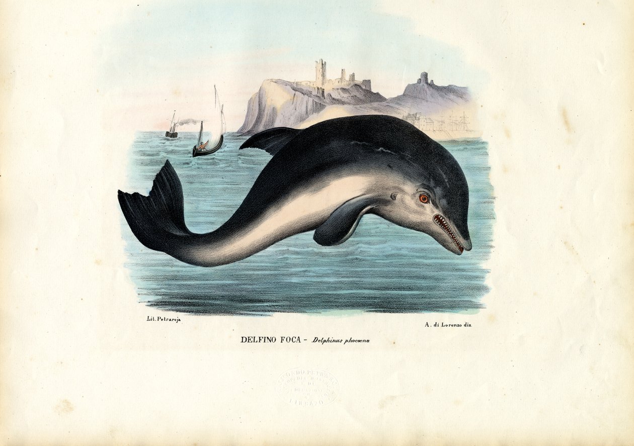 Havnenise, 1863-79 av Raimundo Petraroja