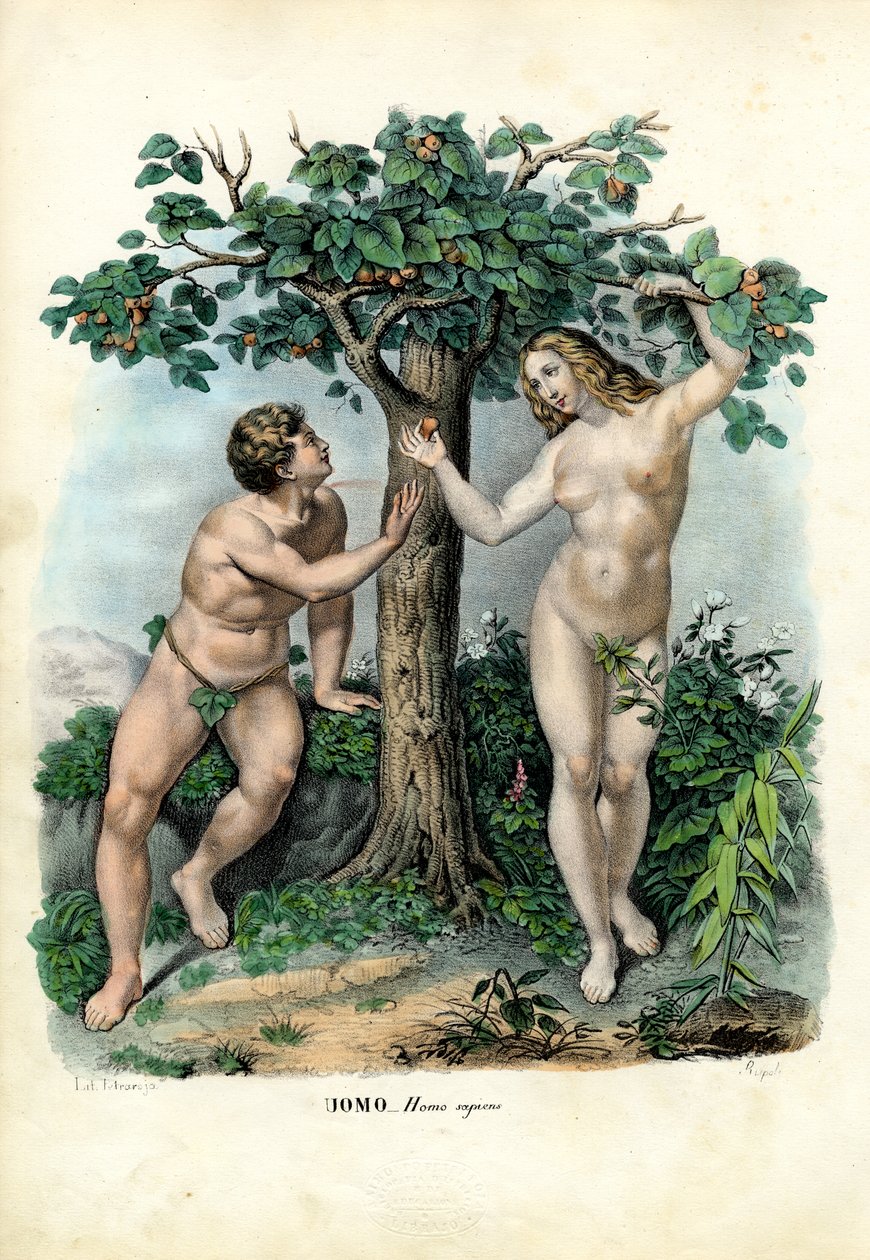 Menneskeraser, 1863-79 av Raimundo Petraroja