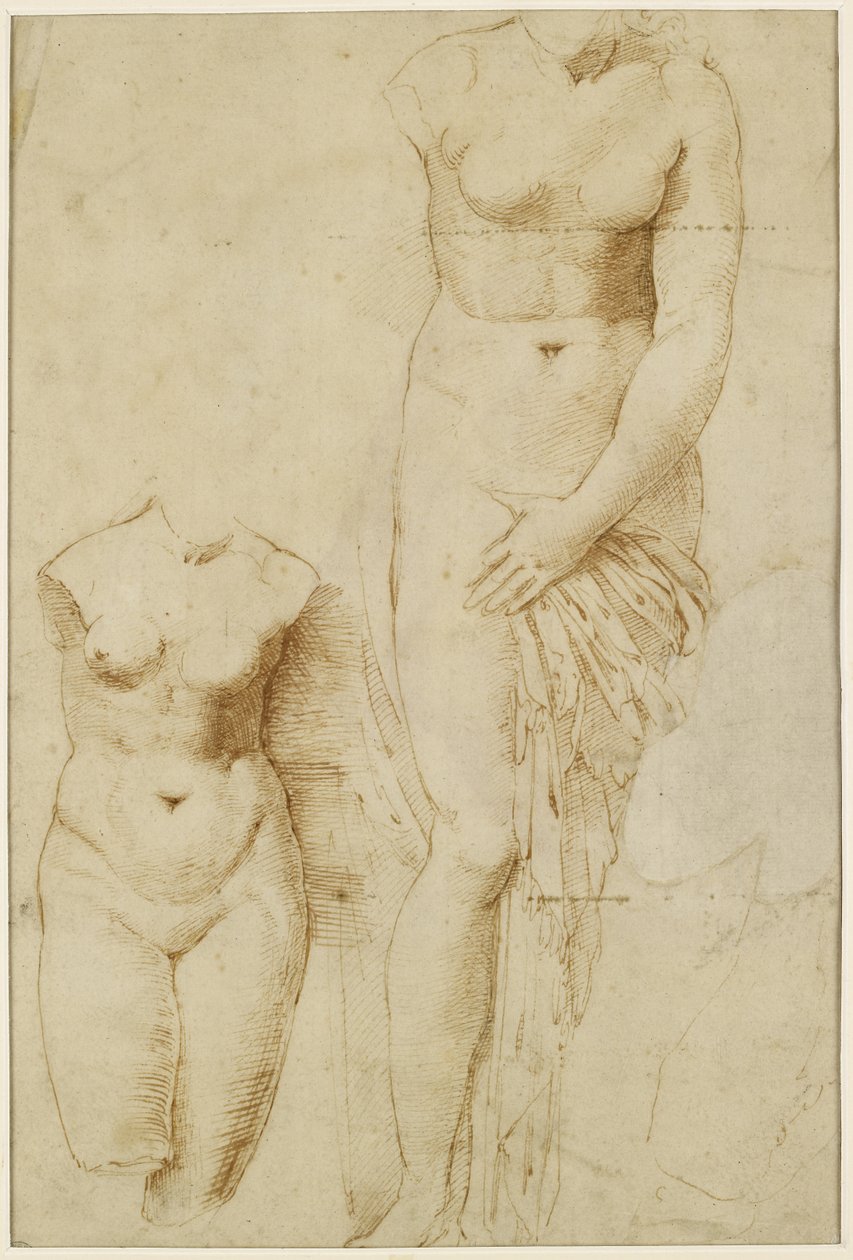 Recto: To figurer av Afrodite. Verso: Mannlig figur i aksjon, WA1846.261 av Raffaello Sanzio Raphael