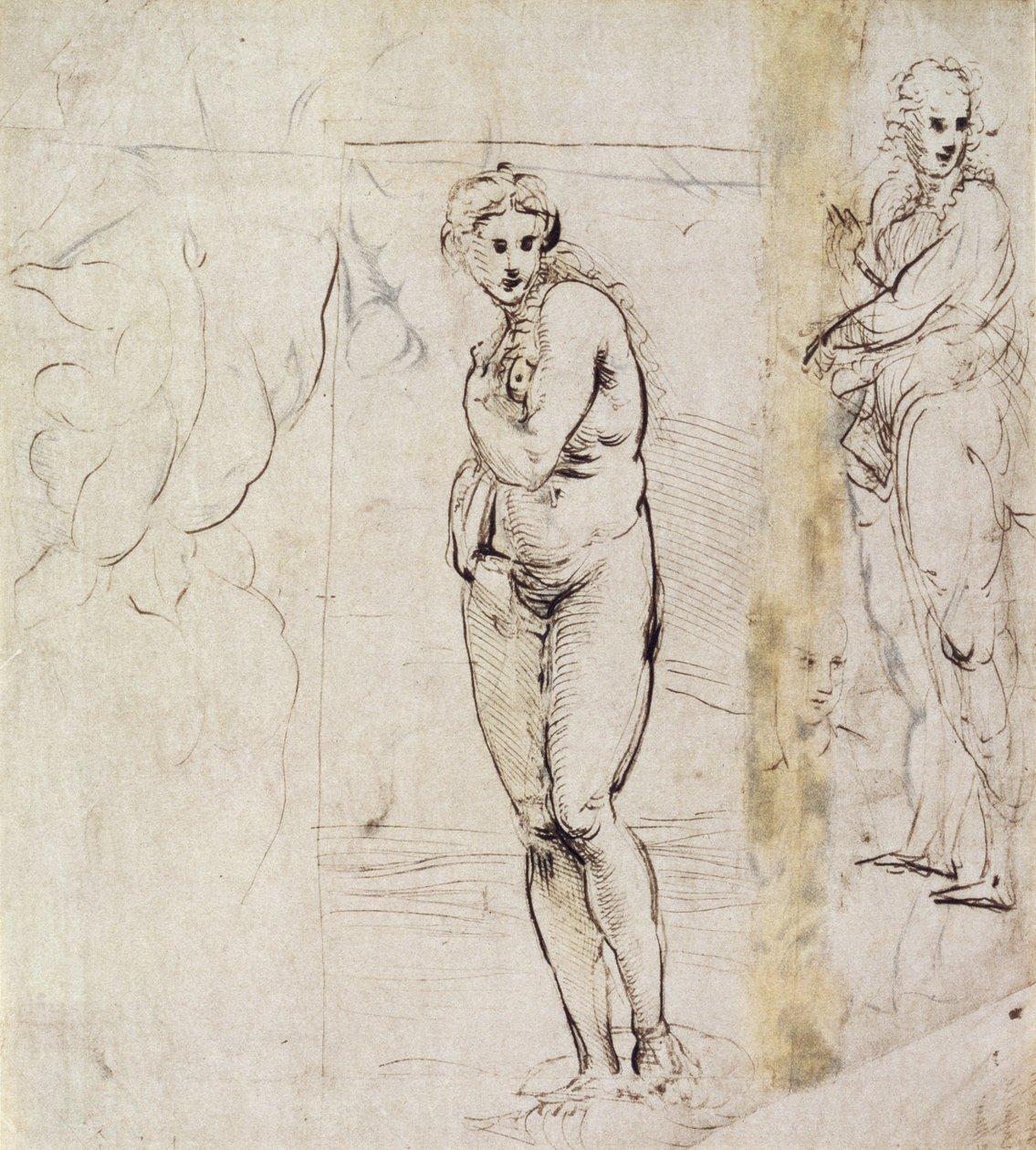 Studie av Venus (penn og blekk) av Raffaello Sanzio Raphael