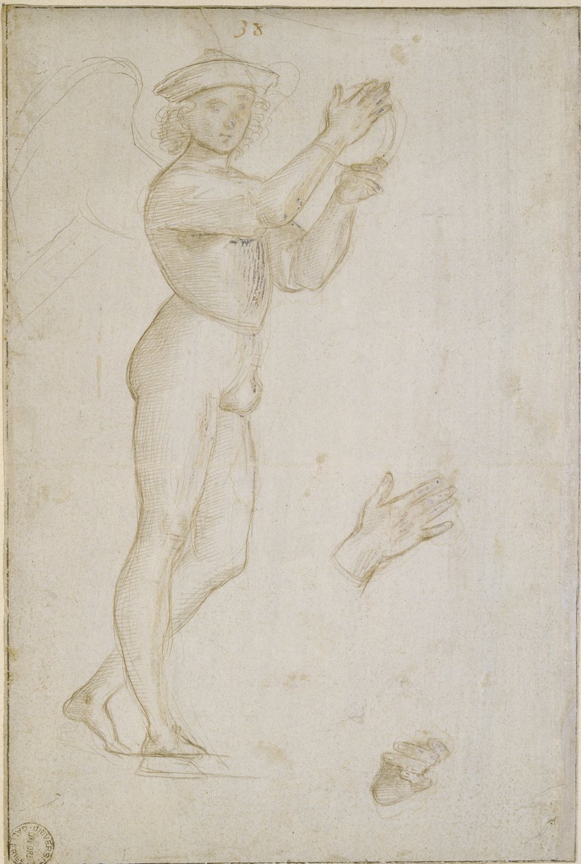To studier av Raffaello Sanzio Raphael