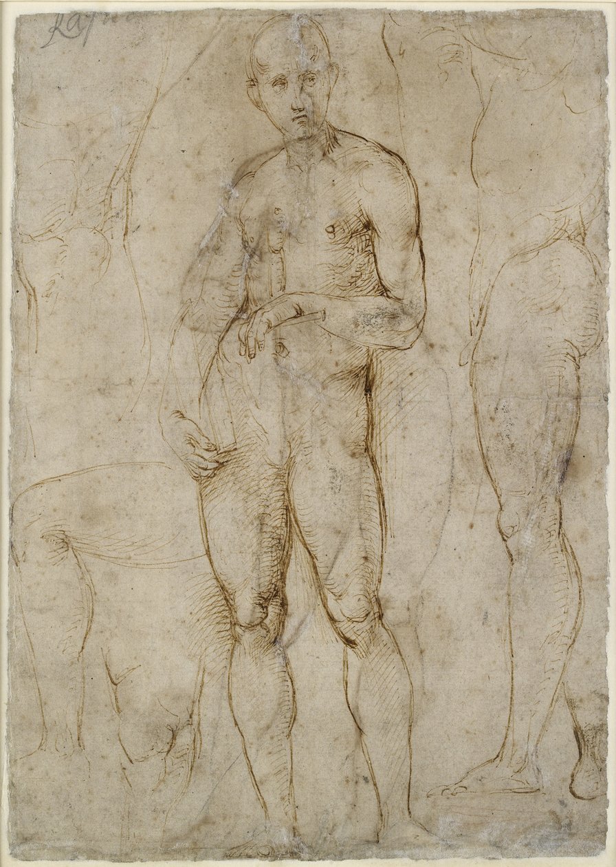 Verso: Nakenstudie for en St Paul, WA1846.163 av Raffaello Sanzio Raphael